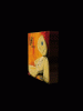 anim240x320_0023.gif